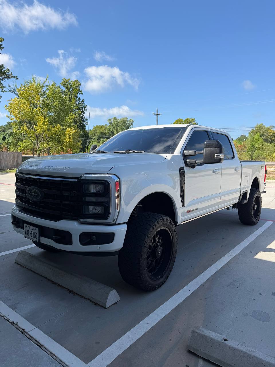 Ford F-250 Carli Pathfinder - AMP Steps — photo 1 of 5 — installed by Lift Pro Customs, Willis TX